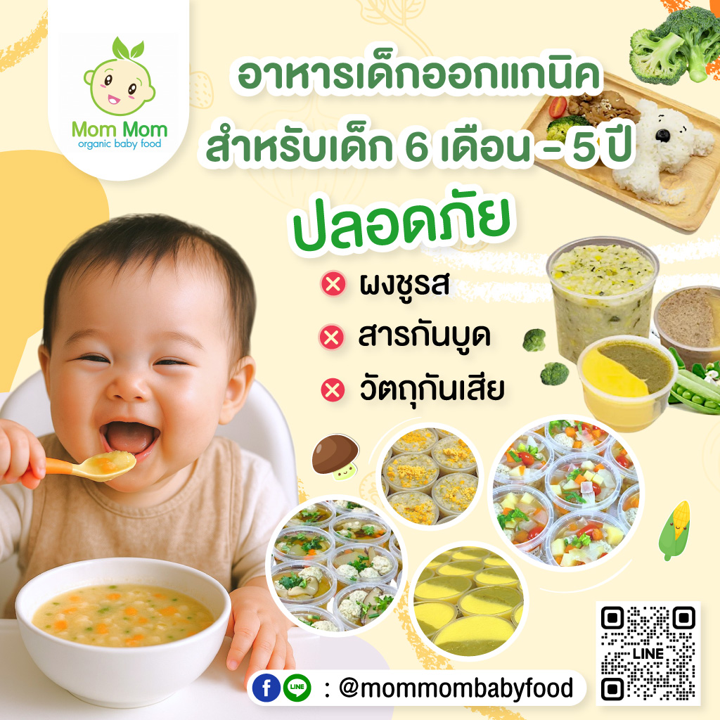 80038580-MOBILE-02-อาหารเด็ก-Mom-Mom-Organic-Baby-Food-(292200)